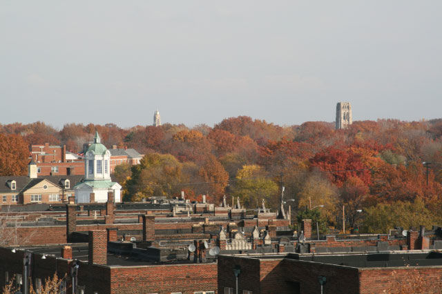 Autumn, looking northeast